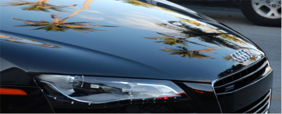 Automobile Portraits